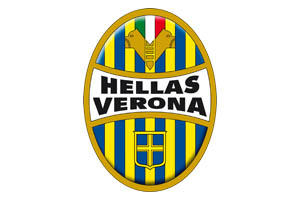 FisioForum2020-partner-Hellas-verona